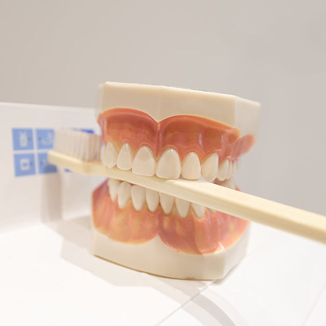 Für die Gesunderhaltung Ihrer Zähne und Ihres Zahnfleischs  ist eine regelmäßige Prophylaxe in Form einer professionellen Zahnreinigung inkl. Vorsorge- oder Kontrolluntersuchung von grundlegender Bedeutung.